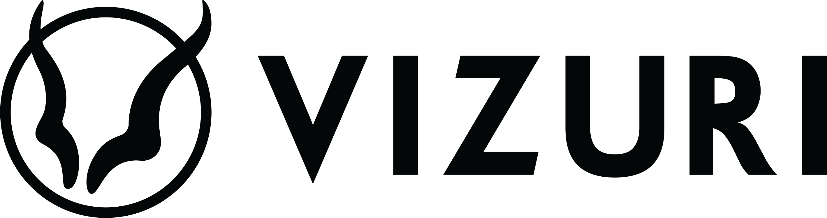 Partner logo - Vizuri